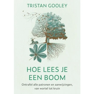Afbeelding van Hoe lees je een boom