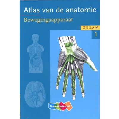 Afbeelding van Sesam atlas van de anatomie deel 1 Bewegingsapparaat