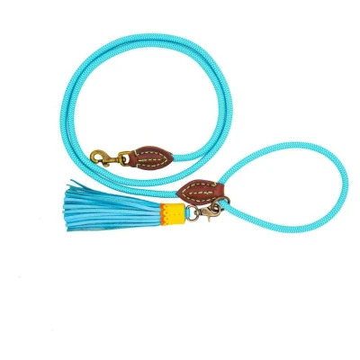 Afbeelding van Dwam Looplijn Turquoise Hondenriem 155x1 cm