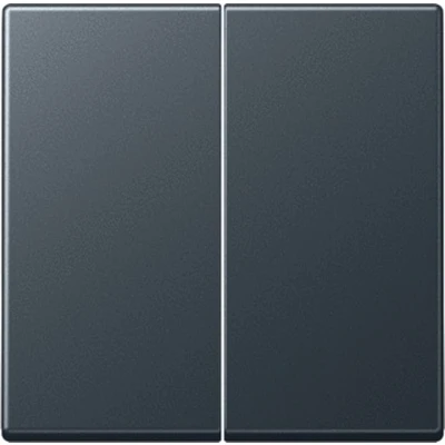 Afbeelding van JUNG A500 A595BFANM