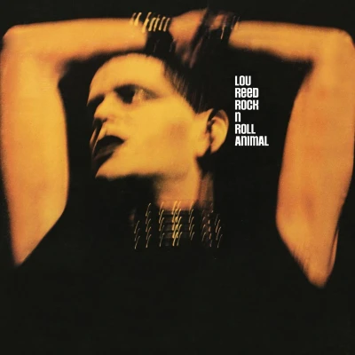 Afbeelding van Lou Reed Rock N Roll Animal (LP)