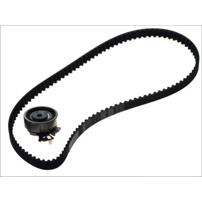 Afbeelding van Distributieriemset SKF VKMA 05121
