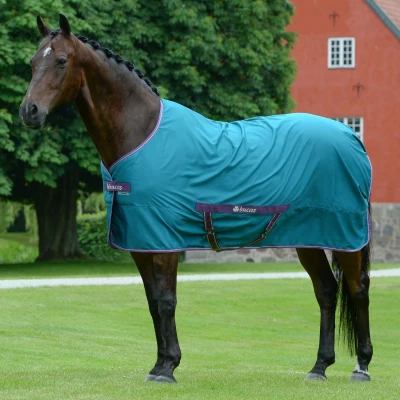 Image de Bucas Chemise Freedom Twill Green/Violet 135/183