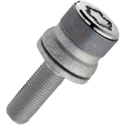Afbeelding van MCGARD 26002SL Anti diefstal wielbouten