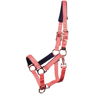 Afbeelding van Harry&#039;s Horse Halster Pepper Persain violet