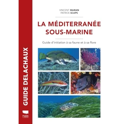 Afbeelding van MEDITERRANEE SOUS MARINE GUIDE DE LA FAUNE ET FLORE