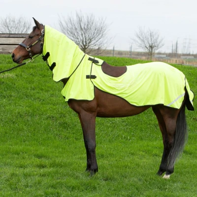 Afbeelding van Harry&#039;s Horse Vliegen Uitrijdeken Mesh Pro geel L