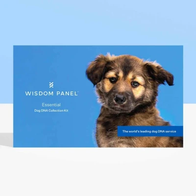 Afbeelding van Wisdom Panel Essential DNA Test Hond