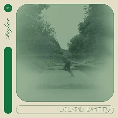 Afbeelding van Leland Whitty Anyhow (LP)