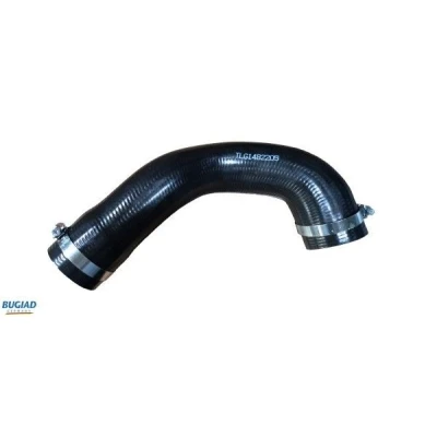 Afbeelding van Bugiad Laadlucht /turboslang 82205