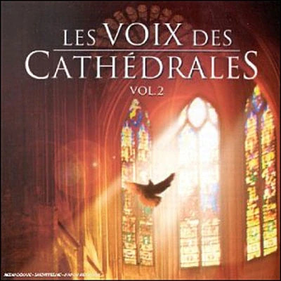 Afbeelding van Various Artists Voix Des Cathedrales Vol 2