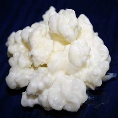 Image de 40g de Poudre Granules Kéfir Lait + Instructions Recettes Aide et conseils en français KEFIRALIA®, Non aromatisé
