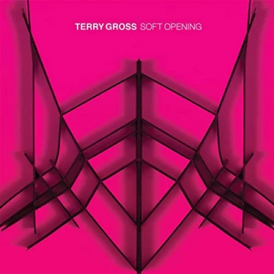 Afbeelding van Terry Gross Soft Opening (LP)