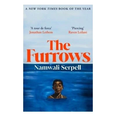 Image de The Furrows