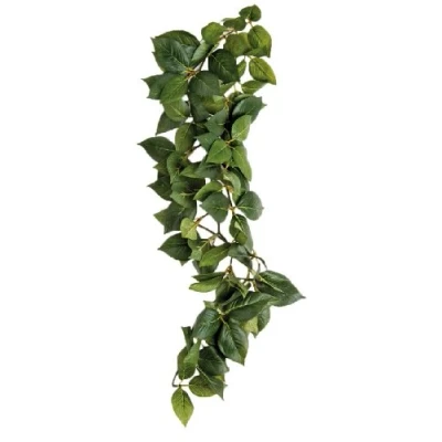 Afbeelding van Komodo Sumatra Hanging Vine 23 cm