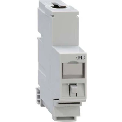 Afbeelding van Rutenbeck UM Cat.6A iso REG montageadapter 13910200 1 stuk(s)