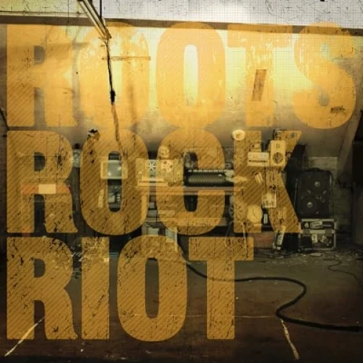Afbeelding van Skindred Roots Rock Riot (2 LPs)
