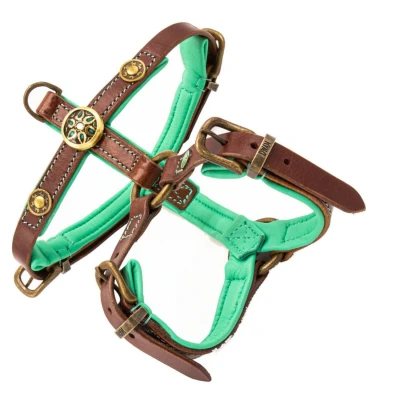Afbeelding van Dwam Hondentuig Rock Leer Bruin&amp;Turquoise Hondenharnas 52 64 cm