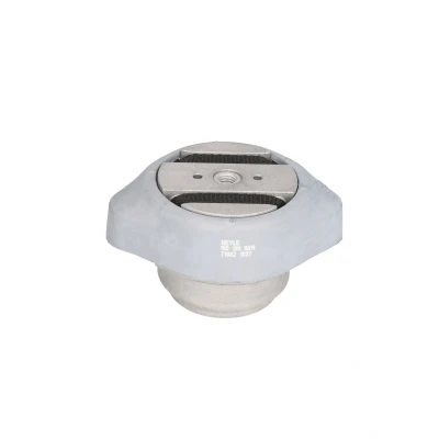 Afbeelding van Ophanging, automatische transmissie MEYLE 100 130 0011