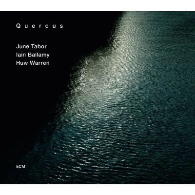 Afbeelding van June Tabor, Lain Ballamy, Huw Warren Quercus (CD)