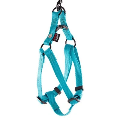 Afbeelding van Martin Sellier Instap Tuig Nylon Turquoise 10 MMX25 35 CM (366364)