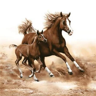 Afbeelding van 20 stuks servetten met paarden galopperen, dieren, tafeldecoratie, 33 x cm