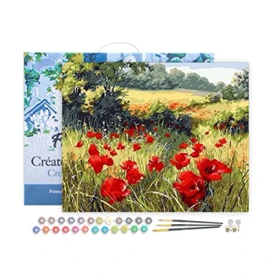 Afbeelding van Figured&#039;Art Schilderen op Nummer Volwassenen met lijst Veld klaprozen het platteland Handwerk acrylverf Kit DIY Compleet 40x50cm Canvas al ingelijst