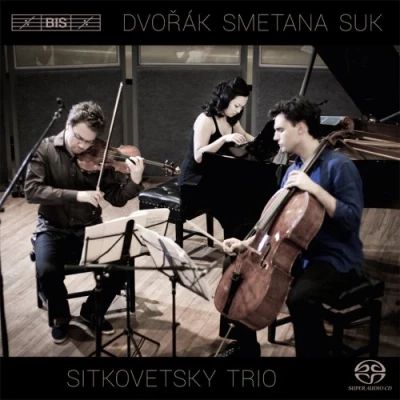 Afbeelding van Sitkovetsky Piano Trio Plays Dvorak (Super Audio CD)