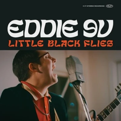 Afbeelding van Little Black Flies
