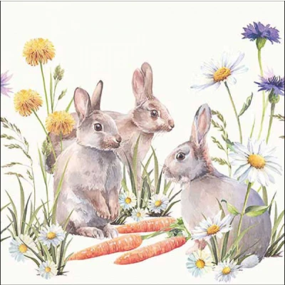 Afbeelding van Carrot treat