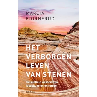 Afbeelding van Het verborgen leven van stenen