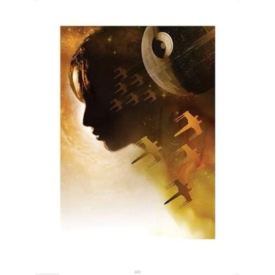 Afbeelding van Star Wars Rogue One Jyn Silhouette Art Print 60x80cm Poster