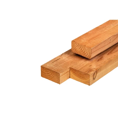 Afbeelding van Lariks/douglas Ligger Onbehandeld (Vers Hout) 5x10x400 cm