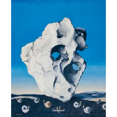 Afbeelding van VERTIGE DU SURREALISME ART ET LITTERATURE LA RENCONTRE ININT