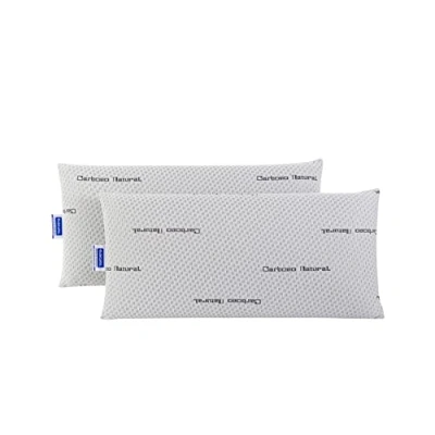 Afbeelding van Todocama Set van 2 natuurlijke carbon visco elastische kussens 70 cm