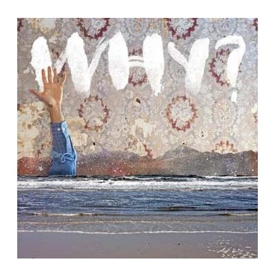 Afbeelding van Why Moh Lhean (LP)
