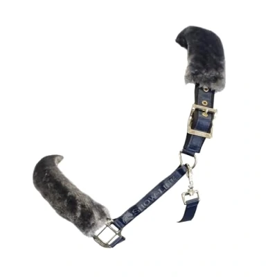 Image de Bucas Licol Show Line Marine/Gris Cob