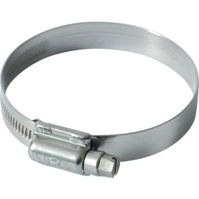 Afbeelding van Carpoint Slangklemmen Ø 40mm 60mm 2240029