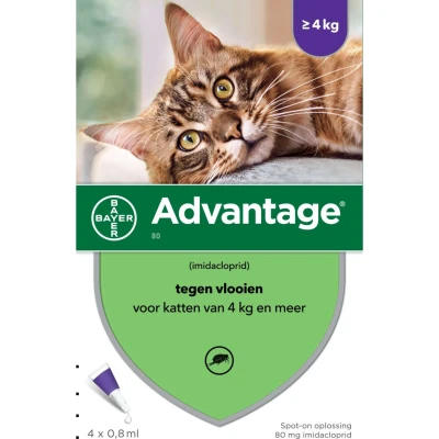 Afbeelding van Bayer Advantage Kat 4 Pipetten 80 VANAF KG PIP (384063)