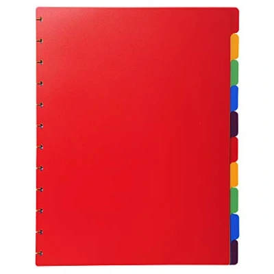 Afbeelding van Exacompta uitneembare tabbladen voor showalbum met ringen, in gekleurd PP, 10 tabs