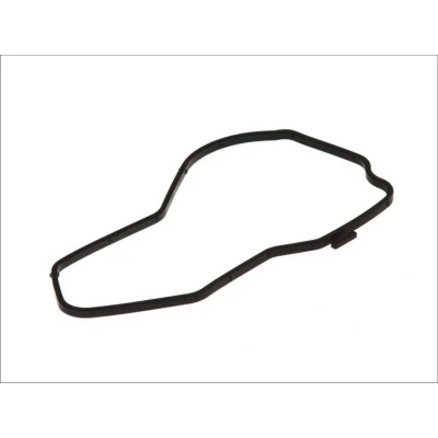 Afbeelding van DT Spare Parts 1.24217 Pakkingen
