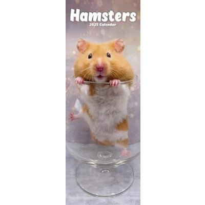 Afbeelding van Hamster Kalender 2025 Slimline