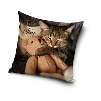 Afbeelding van Cat Time to Sleep Sierkussen Kussen 40 x cm inclusief vulling