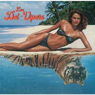 Afbeelding van Los Del Vipers (LP)