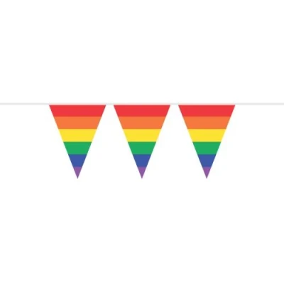 Image de Drapeau Line Rainbow Point 10 mètres