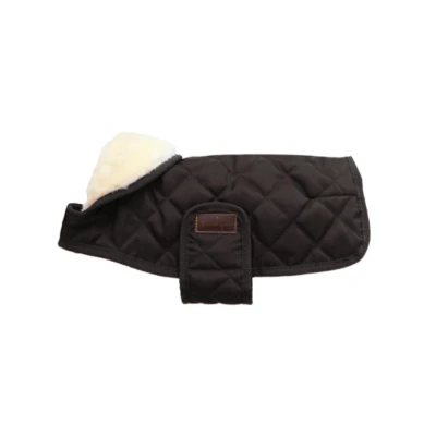 Image de Kentucky Veste pour Chien Original Royal Marron 35cm