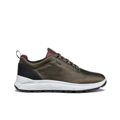 Afbeelding van Geox Spherica Sneakers laag, Heren, Maat: 42, Military bordeaux Leer en textiel