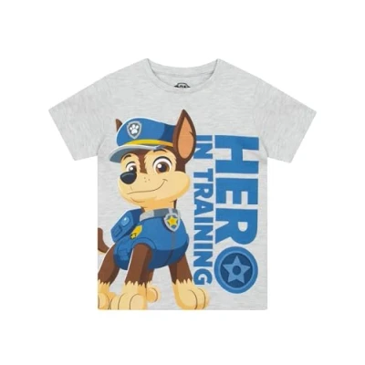 Afbeelding van Paw Patrol T shirt voor jongens, jacht grijs.