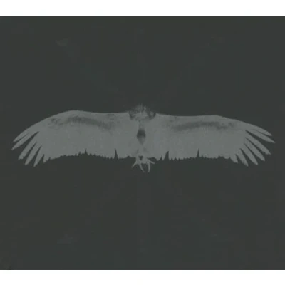 Afbeelding van Echtra Sky Burial (2 CD)