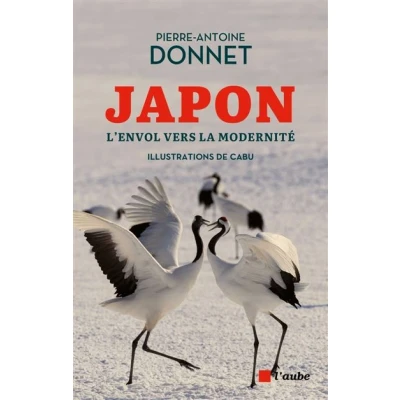 Image de Japon et modernité L&#039;envol vers la